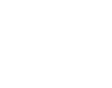 project logo